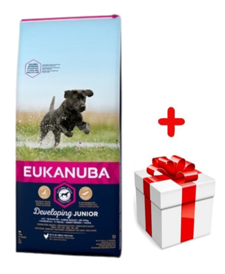EUKANUBA Junior Large 15kg + Překvapení pro psa