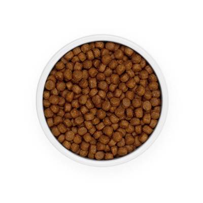 Eminent Adult 26/15 15kg suché krmivo pro dospělé psy malých a středních plemen
