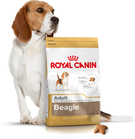 ROYAL CANIN Beagle Adult 12kg 