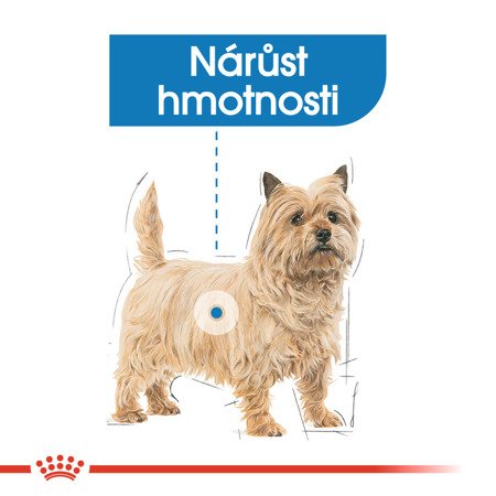 ROYAL CANIN CCN Mini Light Weight Care 8kg 