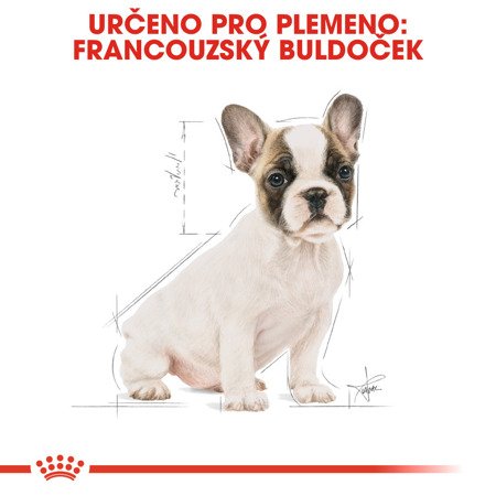ROYAL CANIN French Bulldog Junior 10kg + PŘEKVAPENÍ ZDARMA !!!